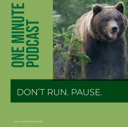 Fear Doesn't Mean Run dont run-one-minute-coversfull