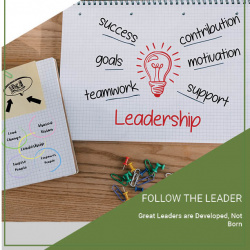 Follow the Leader: Great Leaders are Made Not Born leadership ideas cover-sq