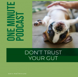 trust-your-gut-one-minute-coversfull