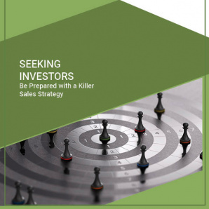 Seeking Investors? Put Your Best Sales Strategy Forward seeking investors cover-sq